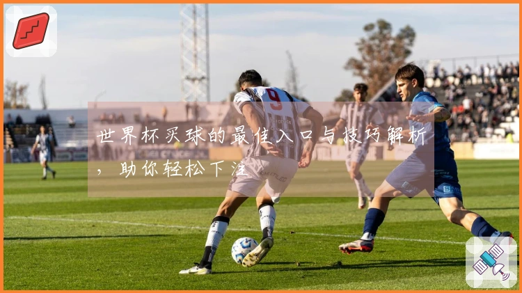 世界杯买球的最佳入口与技巧解析，助你轻松下注