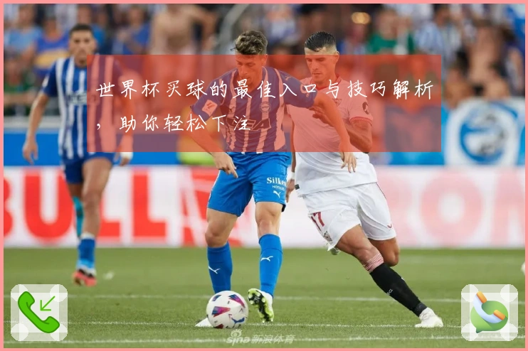 世界杯买球的最佳入口与技巧解析，助你轻松下注