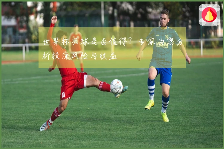 世界杯买球是否值得？专家为您分析投注风险与收益