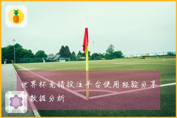 世界杯竞猜投注平台使用经验分享与数据分析