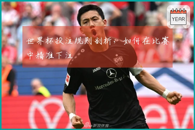 世界杯投注规则剖析，如何在比赛中精准下注