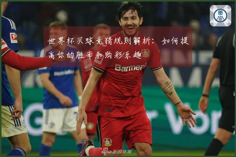 世界杯买球竞猜规则解析：如何提高你的胜率和购彩乐趣