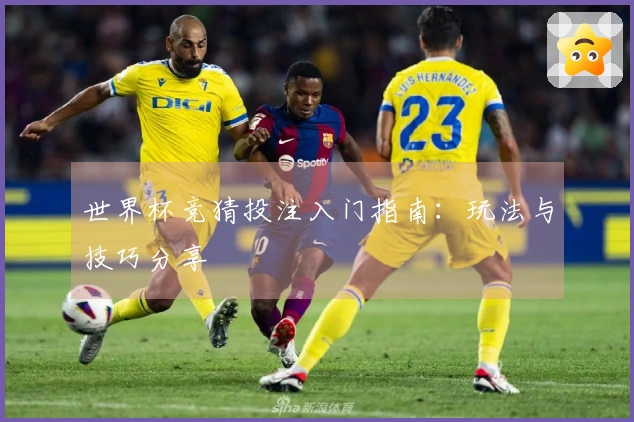 世界杯竞猜投注入门指南：玩法与技巧分享
