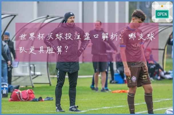 世界杯买球投注盘口解析：哪支球队更具胜算？