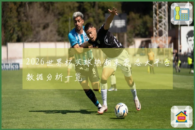 2026世界杯买球热潮来袭 各大平台数据分析一览