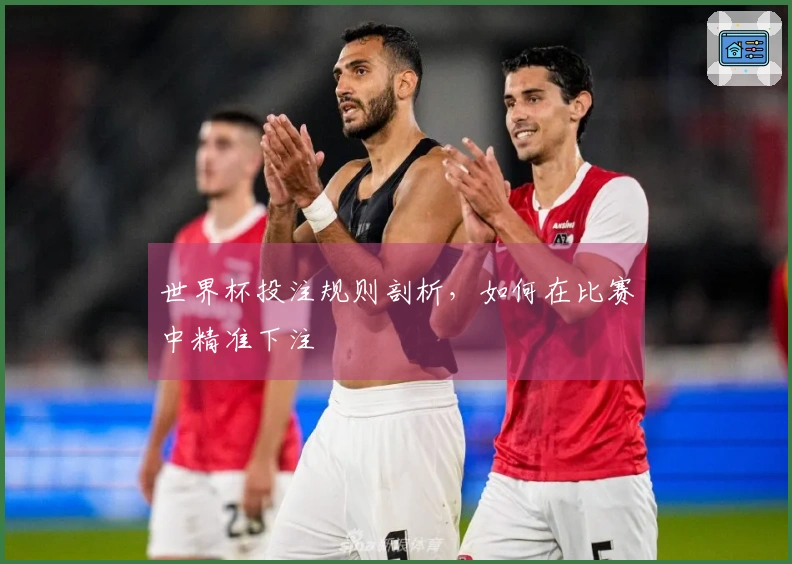 世界杯投注规则剖析，如何在比赛中精准下注