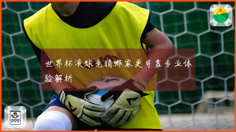 世界杯滚球竞猜哪家更可靠专业体验解析